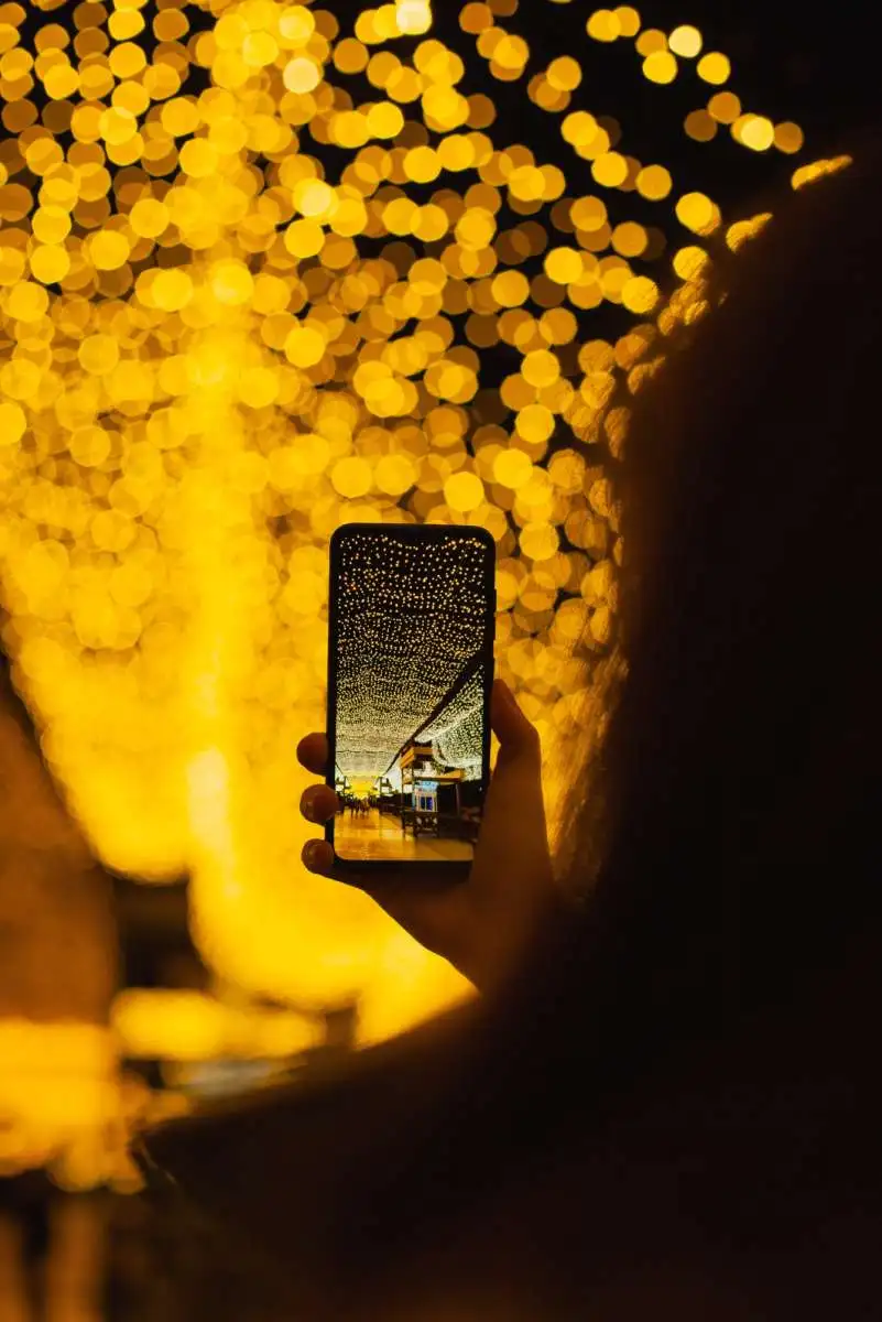 Mobile App Development